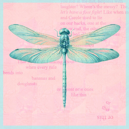 dragonfly on pink