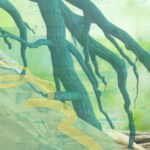 Pinterest Hidden Image