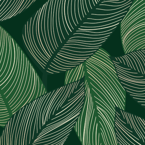 Nature Edition Square14 Nature Edition Square14