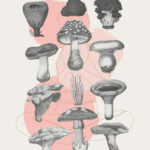 Pinterest Hidden Image