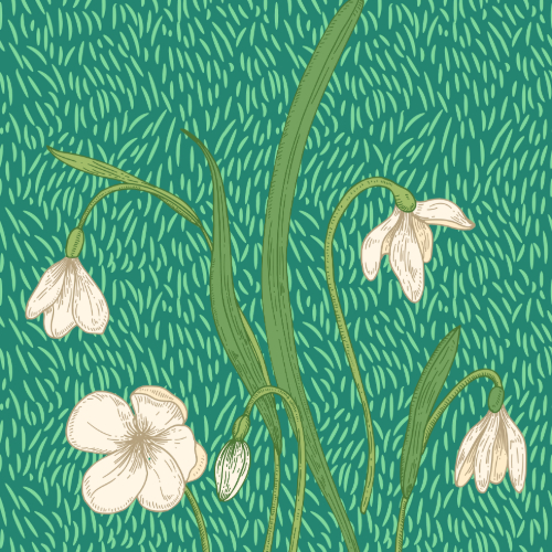 Nature Edition Square42 Nature Edition Square42