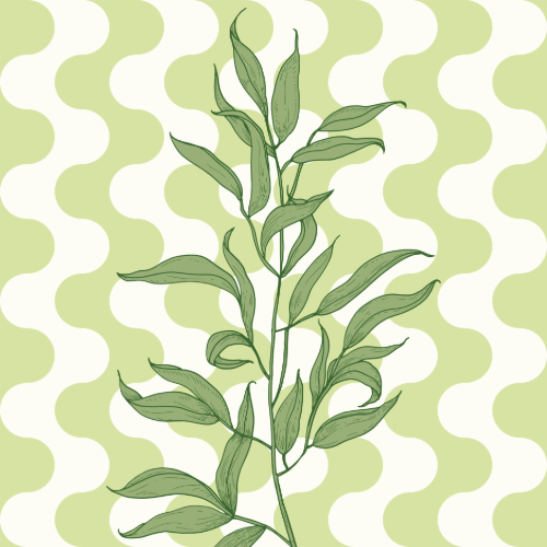 Nature Edition Square44 Nature Edition Square44
