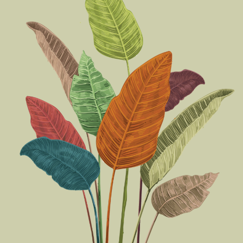 Nature Edition Square63 Nature Edition Square63