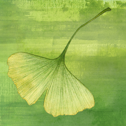 Nature Edition Square71 Nature Edition Square71