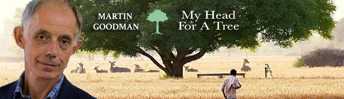 Book Review of My Head For A Tree by Martin Goodman