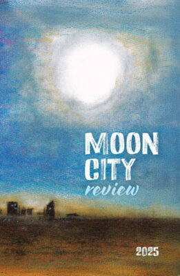 MoonCityReview