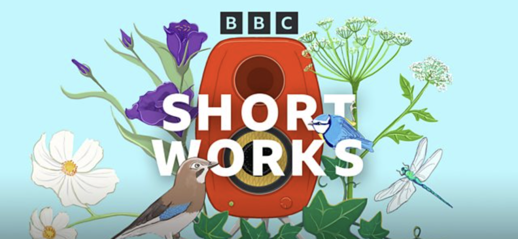 BBC 4 P.T. McAllister short story