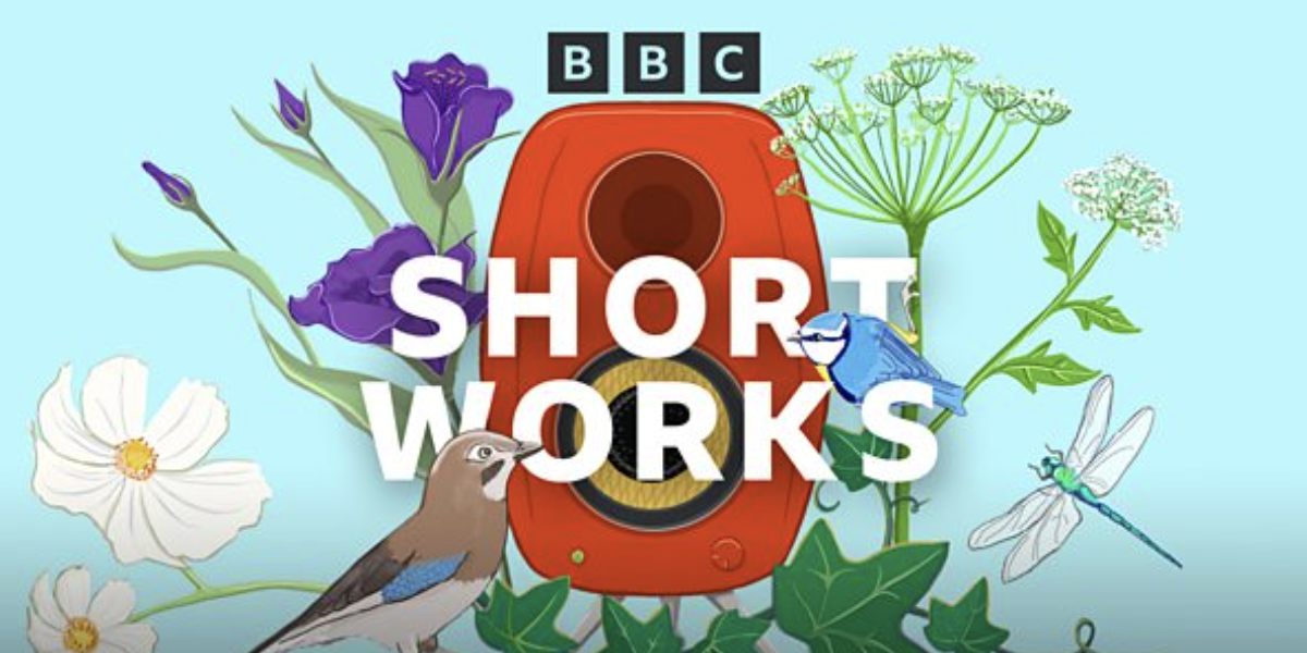 BBC 4 P.T. McAllister short story